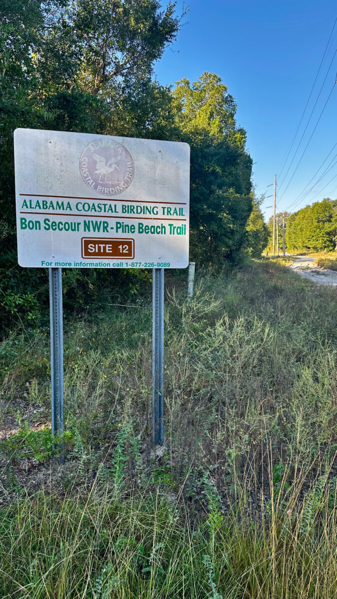 fort morgan alabama walking trail walking path gulf shores alabama vacations nature vacation